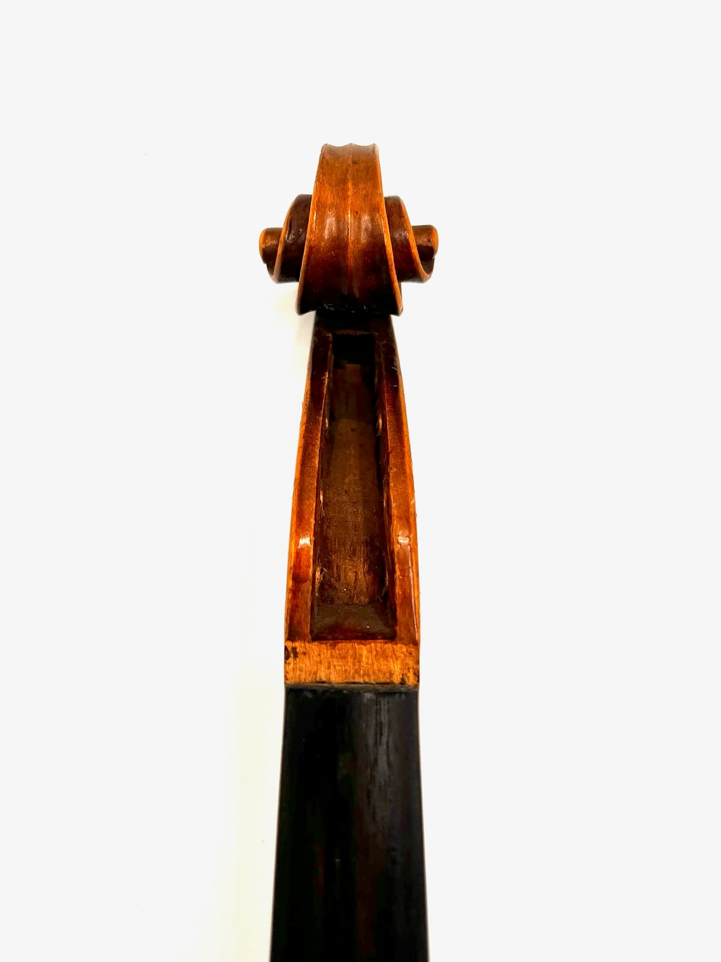 Violon Antonius Stradivarius Cremonensis (Faciebat Anno 1713)