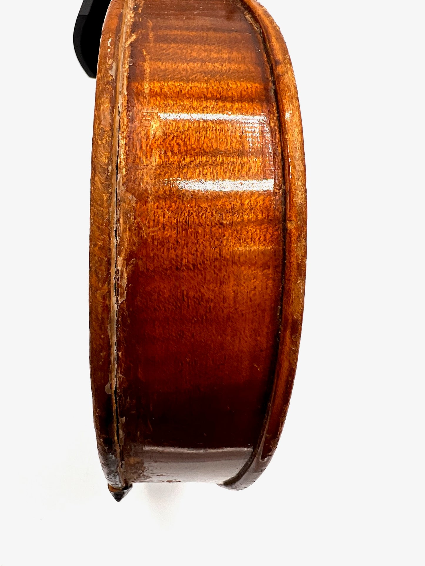 Violon Antonius Stradivarius Cremonensis (Faciebat Anno 1713)
