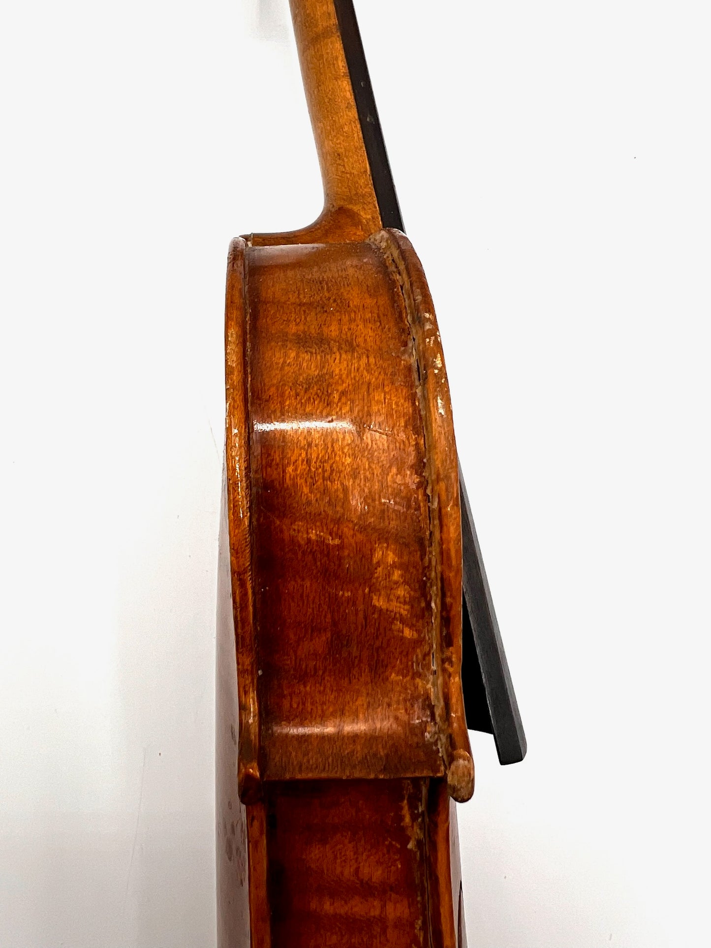 Violon Antonius Stradivarius Cremonensis (Faciebat Anno 1713)
