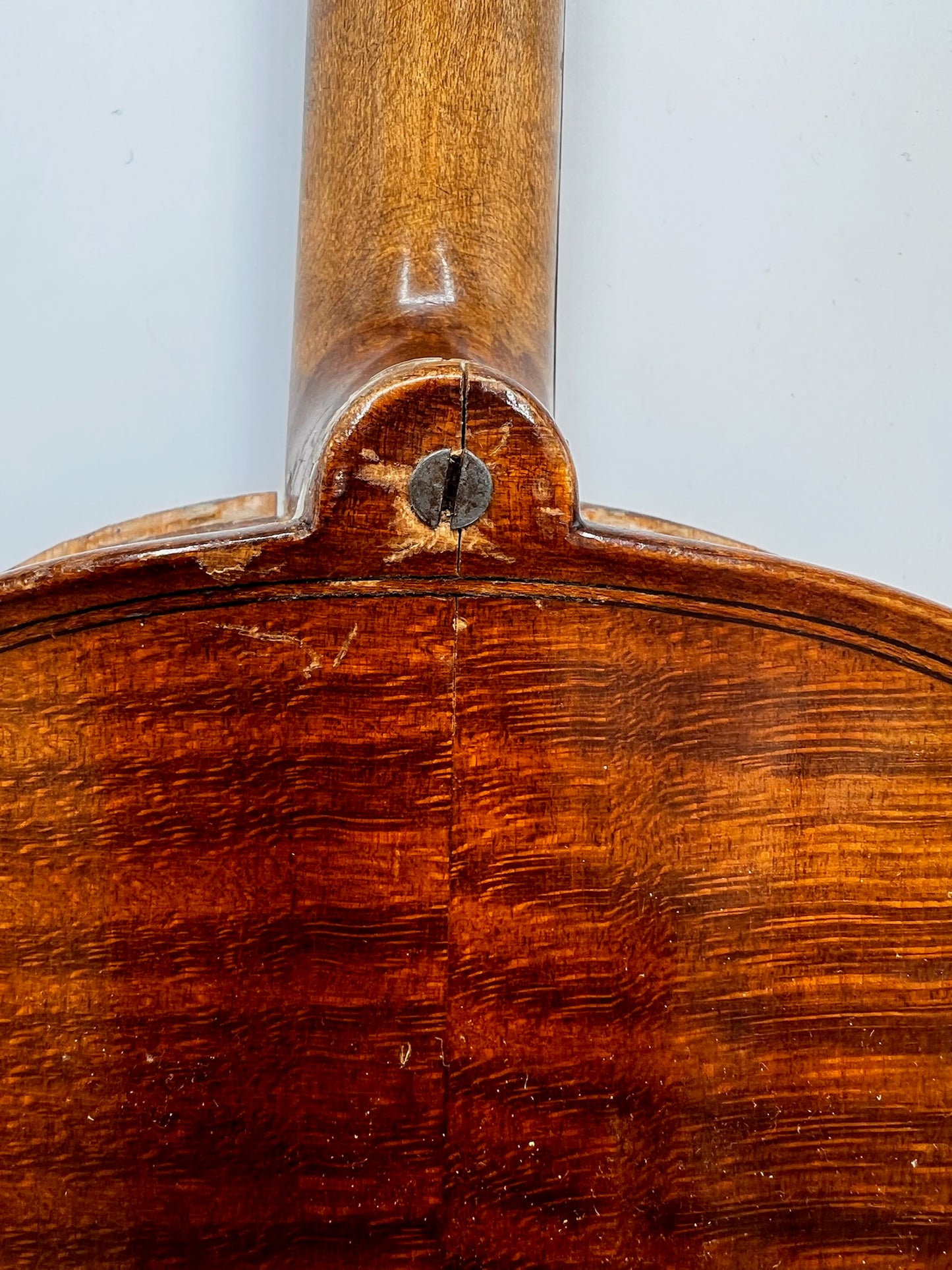 Violon Antonius Stradivarius Cremonensis (Faciebat Anno 1713)