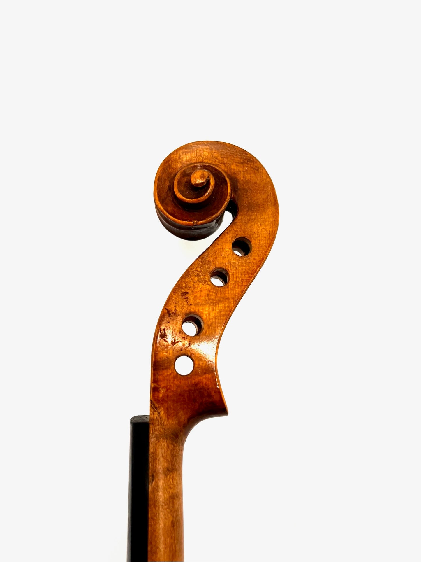 Violon Antonius Stradivarius Cremonensis (Faciebat Anno 1713)