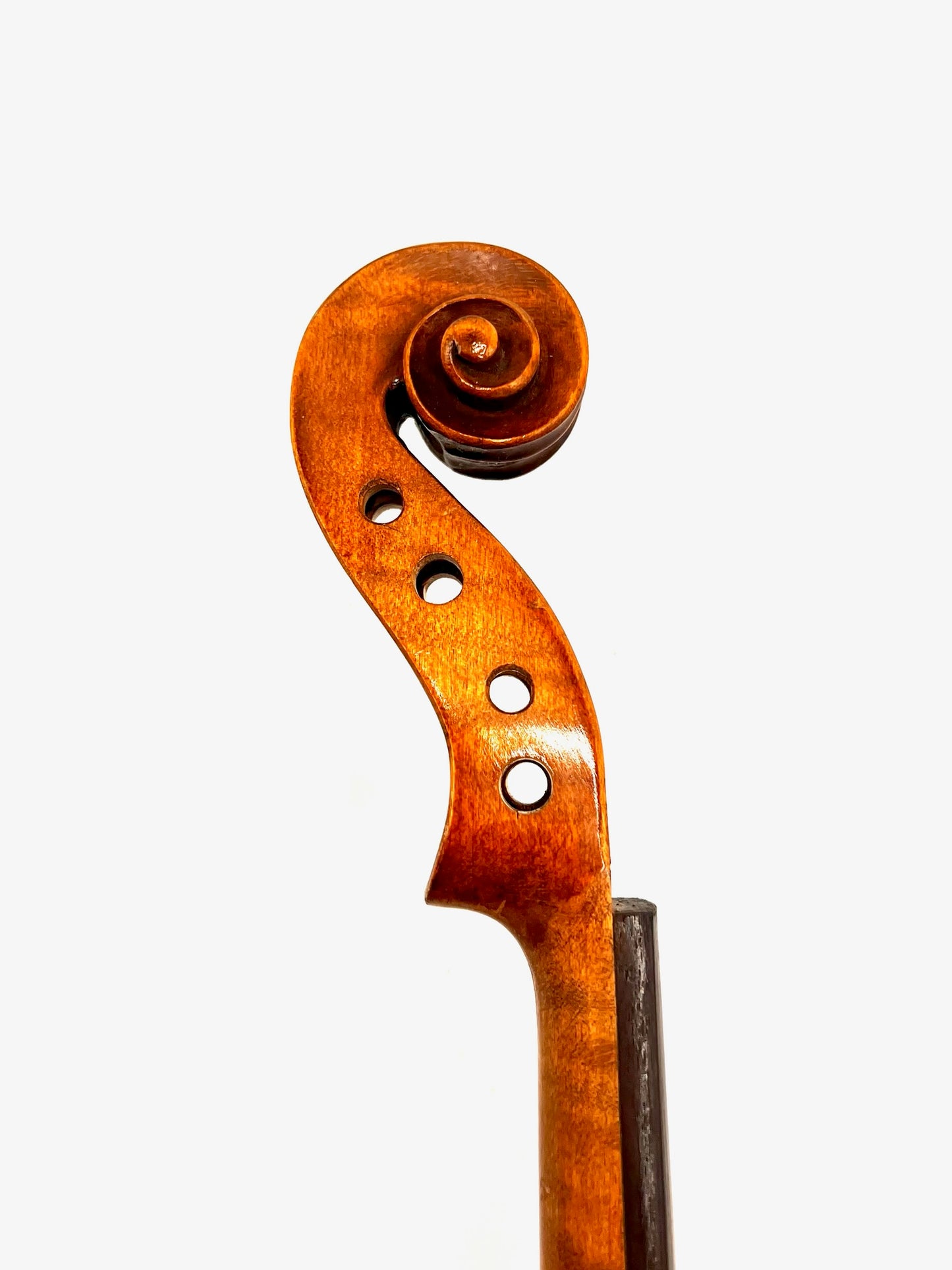 Violon Antonius Stradivarius Cremonensis (Faciebat Anno 1713)