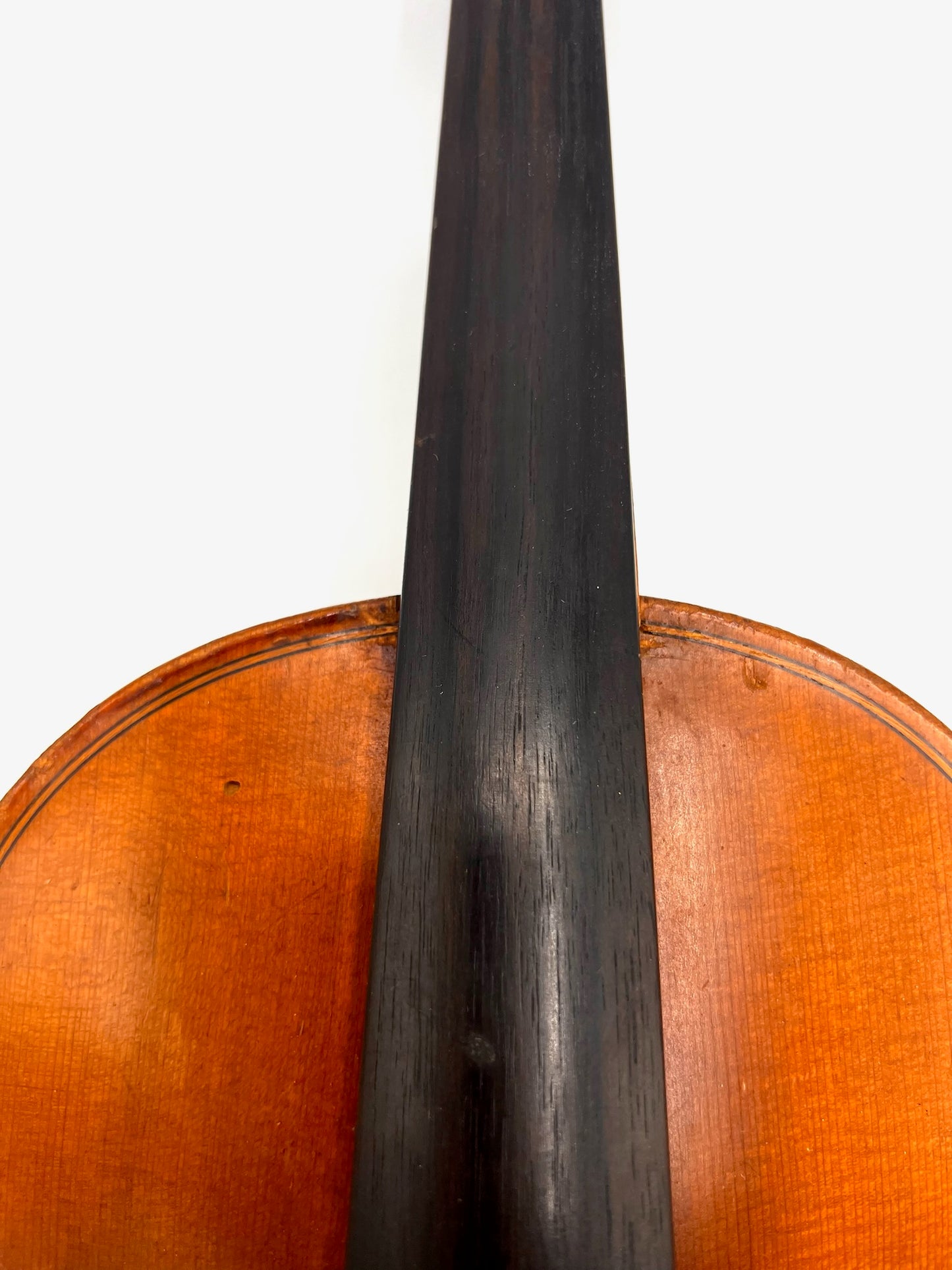 Violon Antonius Stradivarius Cremonensis (Faciebat Anno 1713)