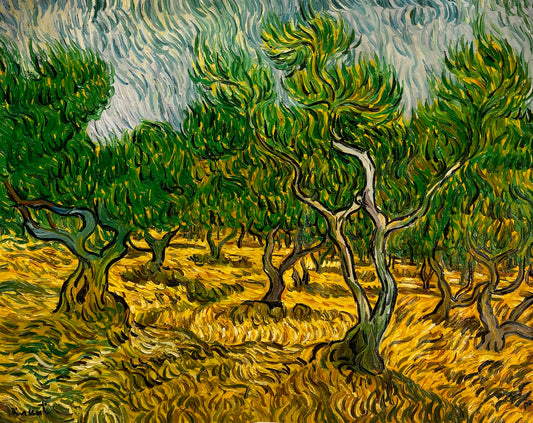 Oliveraie (d'après Vincent van Gogh) – Peinture à l'huile post-impressionniste peinte à la main sur toile (70 × 100 cm)