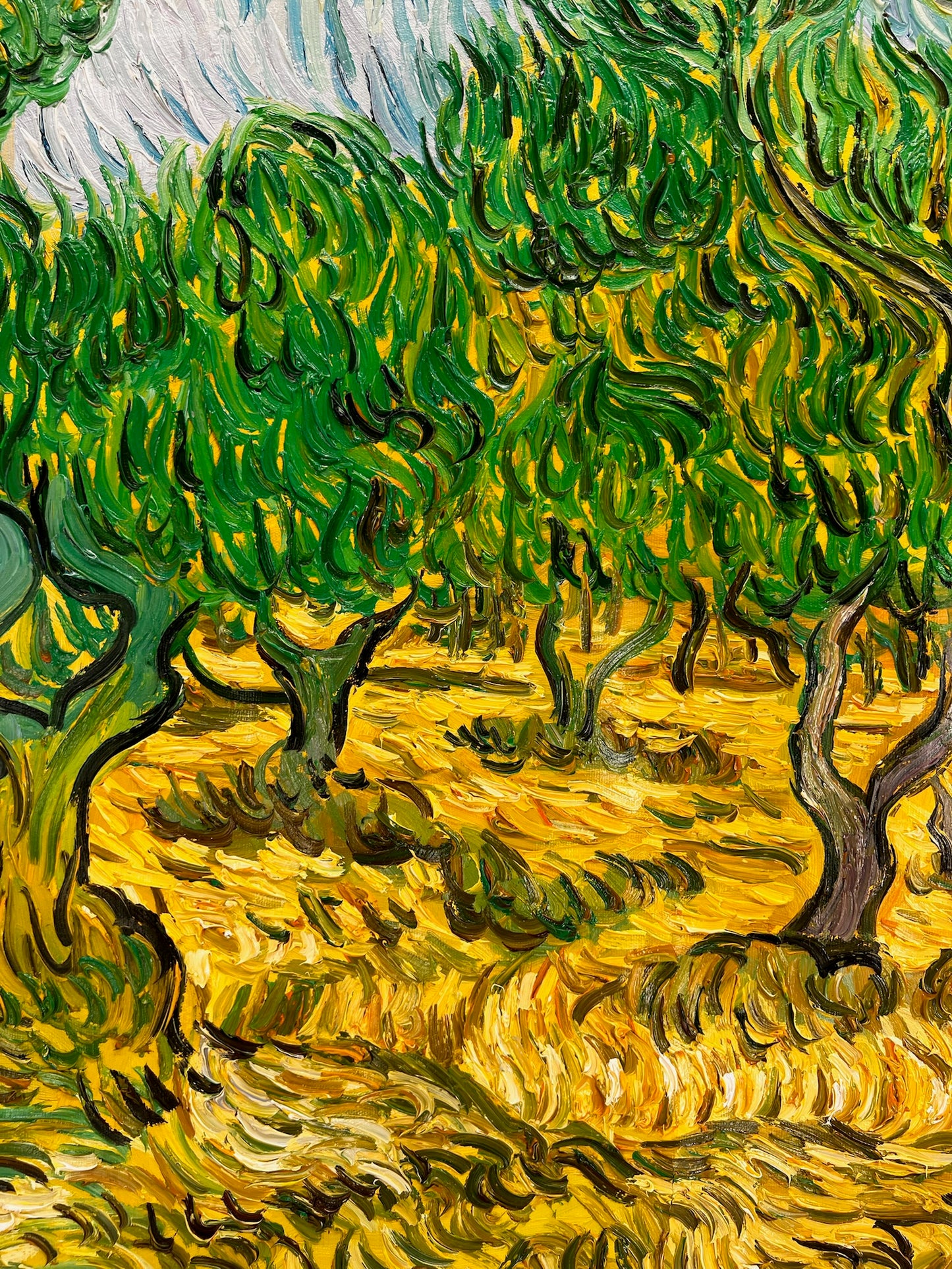 Oliveraie (d'après Vincent van Gogh) – Peinture à l'huile post-impressionniste peinte à la main sur toile (70 × 100 cm)